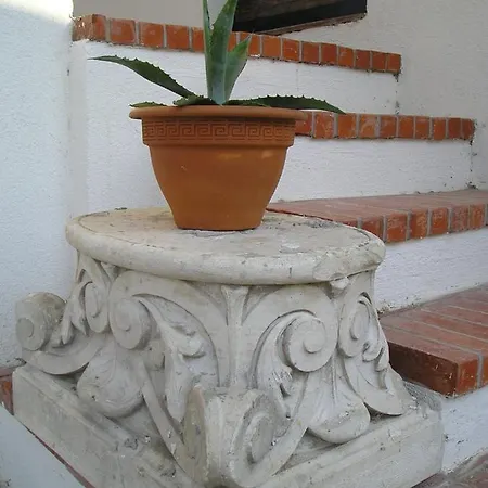 Guest house Art 3*