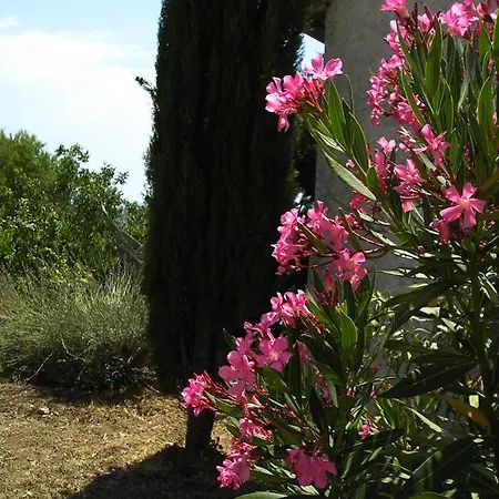 Guest house Art Skradin